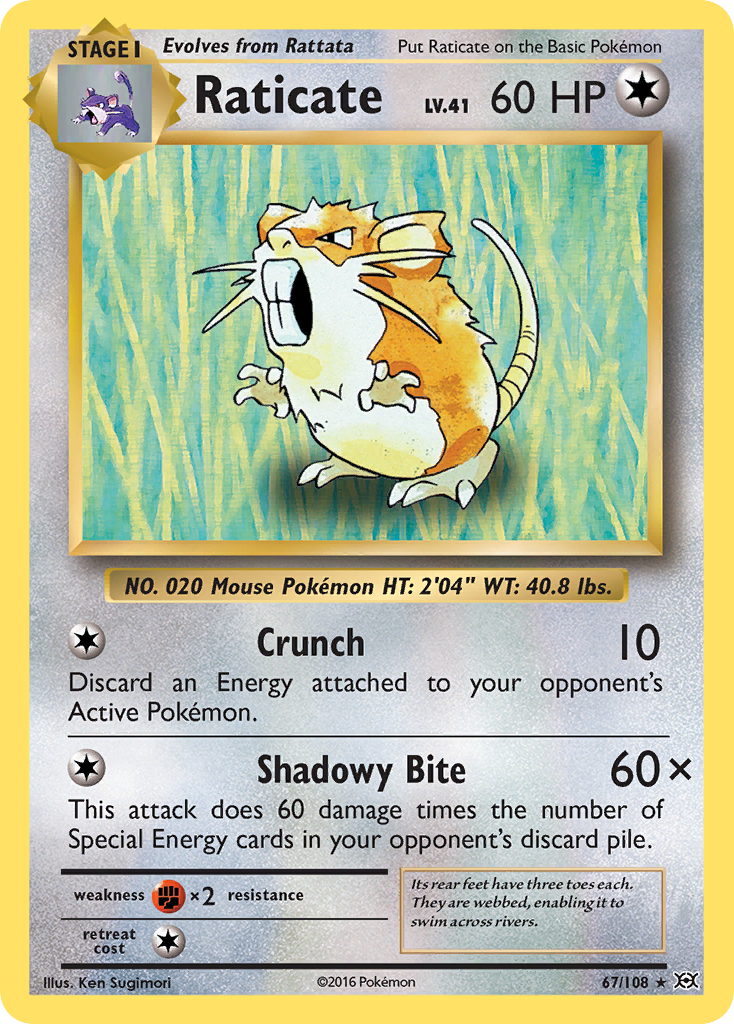 Raticate [Reverse Holo] #67 – Pokemon Evolutions